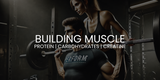 The Best Supplements for Building Muscle