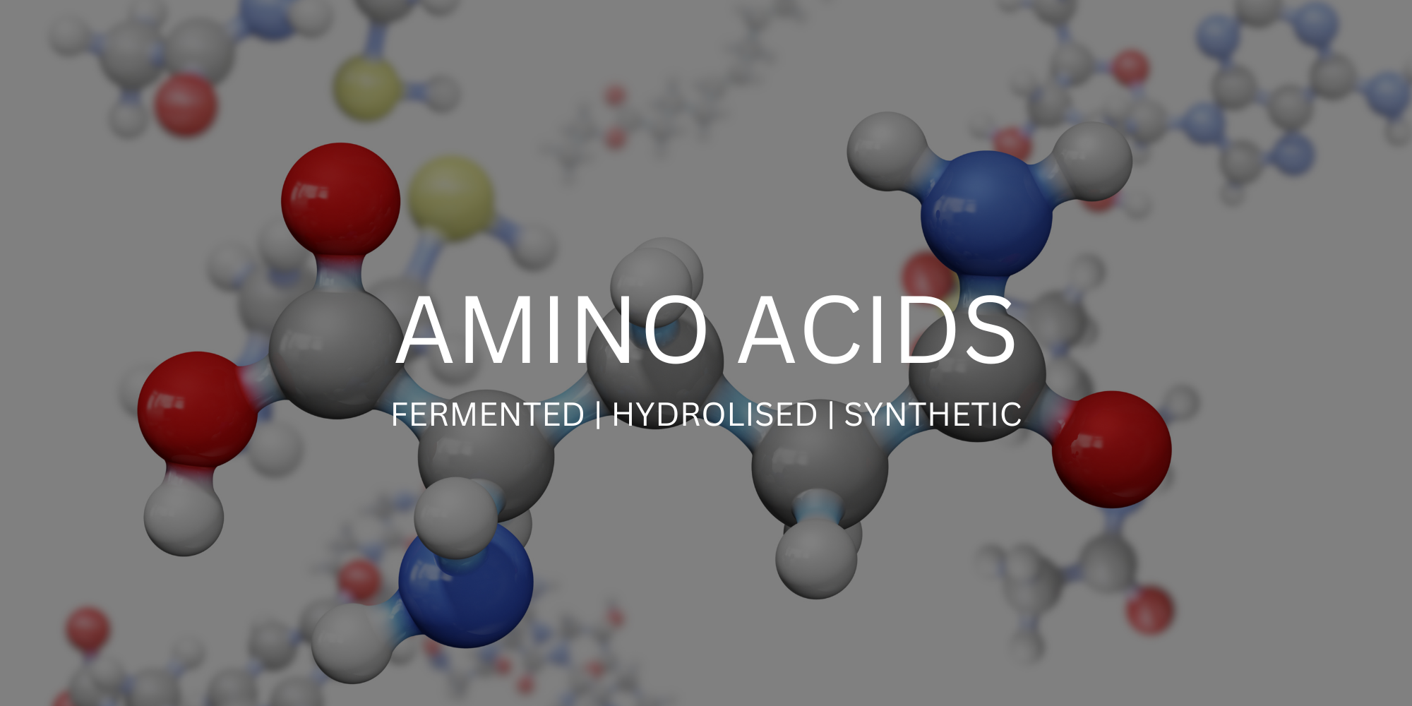 Amino Acids: Fermented vs Hydrolysed vs Synthetic – Organic Performance