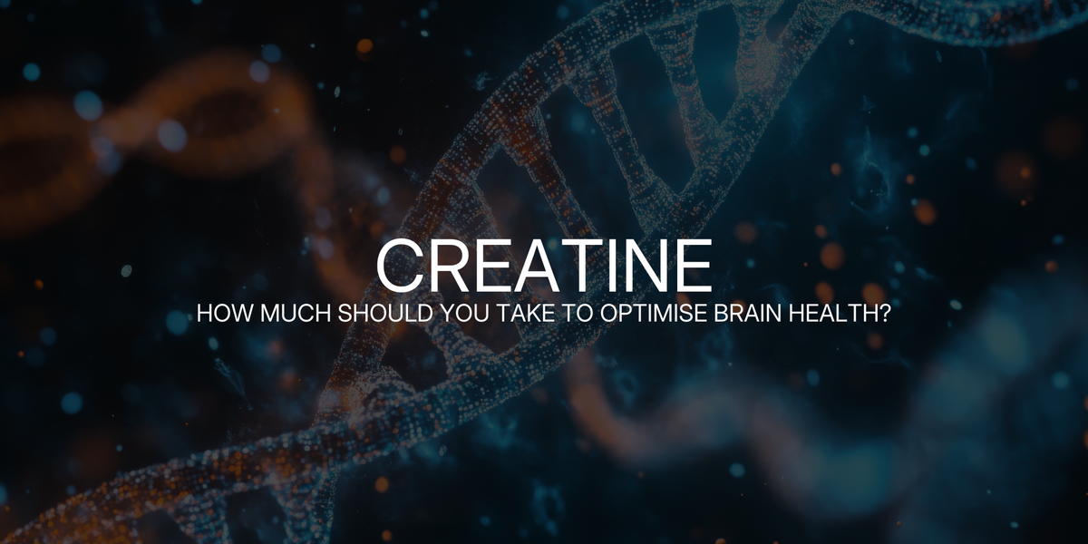 Creatine: How Much Should You Take for Brain Health? – Organic Performance
