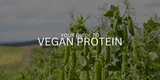 Your Guide to Vegan Protein Powder
